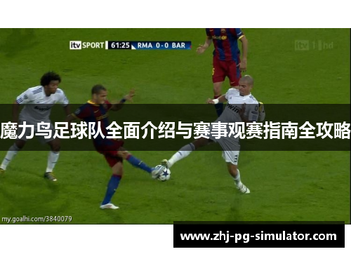 魔力鸟足球队全面介绍与赛事观赛指南全攻略